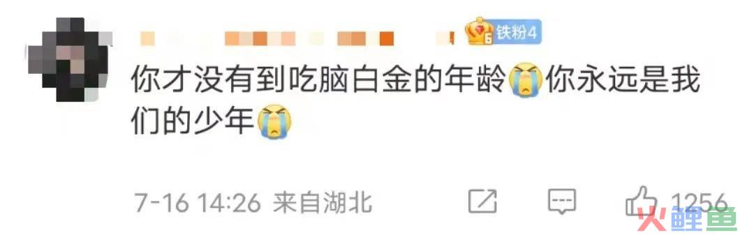 蹭五月天热点，脑白金又来洗脑了？