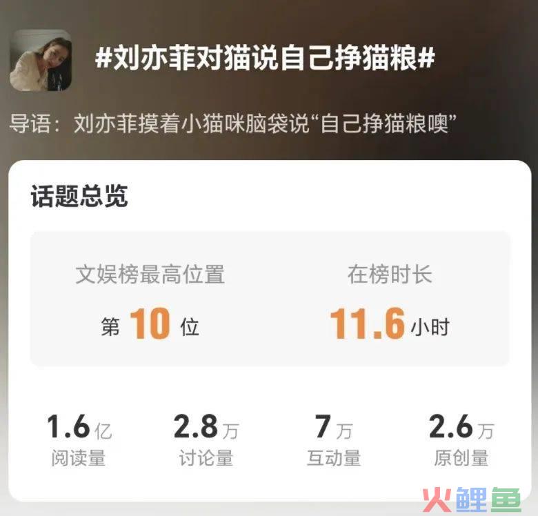 看完美团外卖和刘亦菲的新广告,想点外卖了