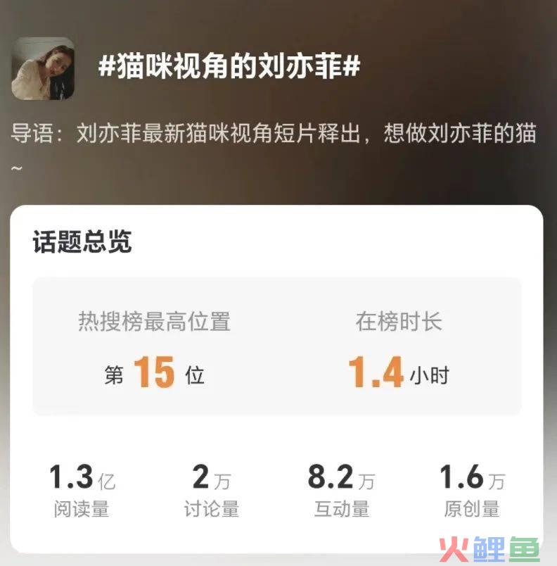 看完美团外卖和刘亦菲的新广告,想点外卖了