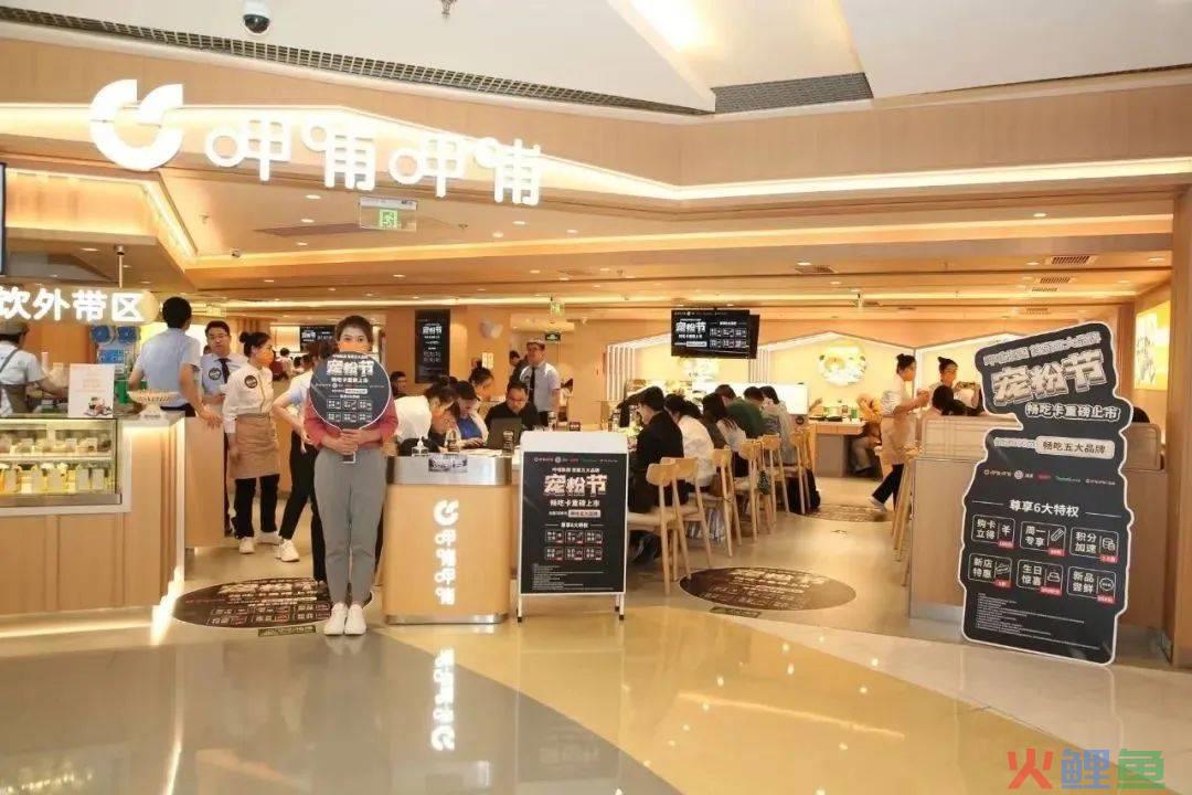 餐饮回暖，呷哺“翻盘”