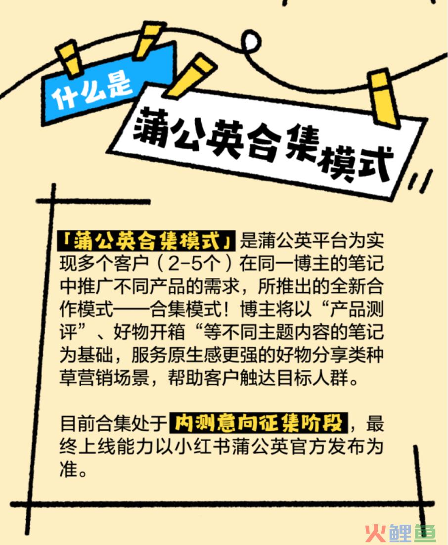 炸裂！小红书蒲公英内测报备“拼广”！
