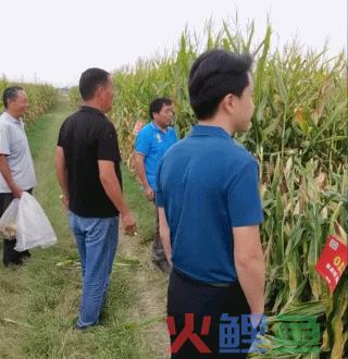 千万网红“世纪PK”，大爷大妈养老金氪金甘愿被收割？