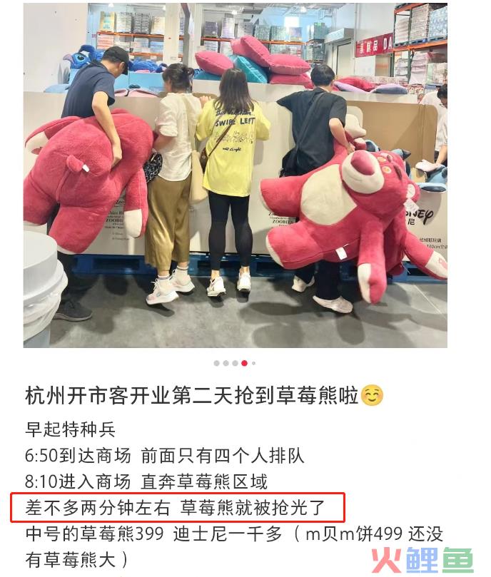杭州“绑架式”疯抢草莓熊，山姆傻眼了！