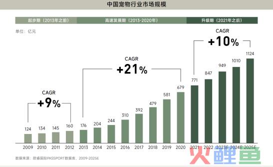 异宠，一场年轻人的单向奔赴