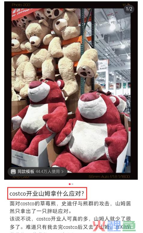 杭州“绑架式”疯抢草莓熊，山姆傻眼了！