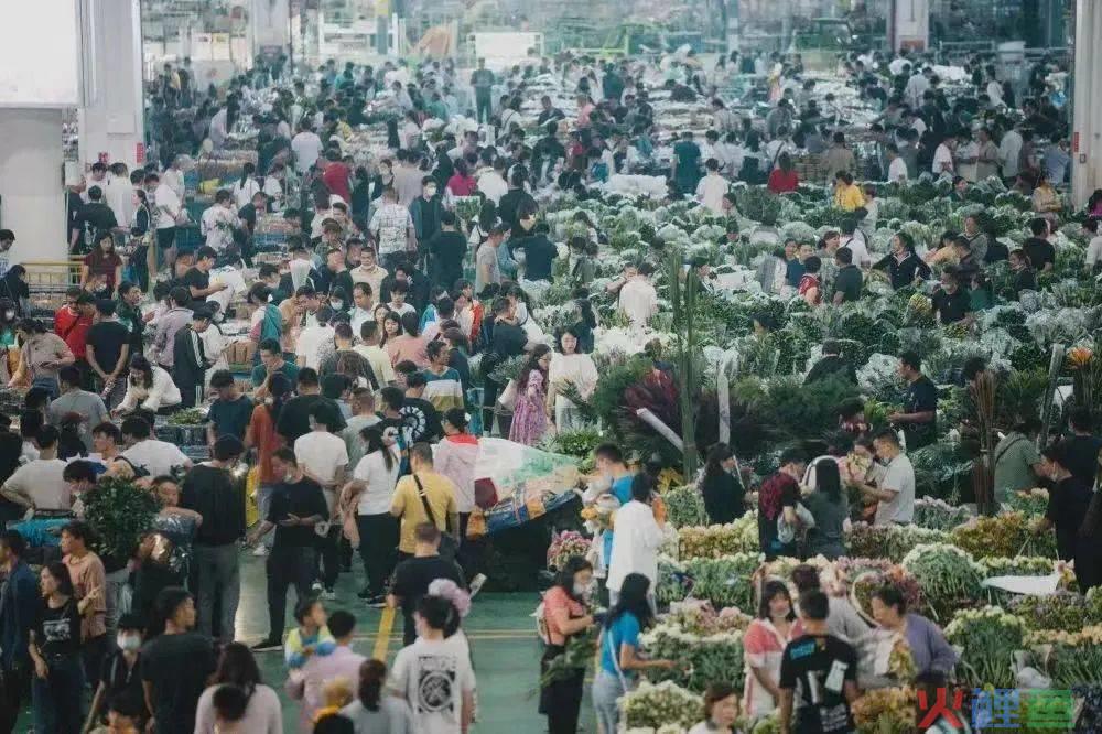 抖音电商：激发产业带活力，绽放“浪漫”生意