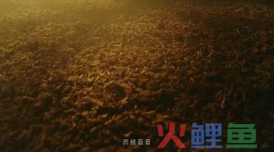 白酒营销元年，这条电影级TVC绝了！