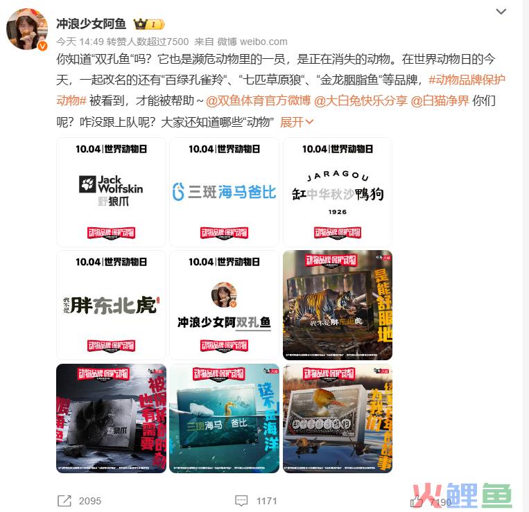 大批错版商品被上架，天猫发生了什么？