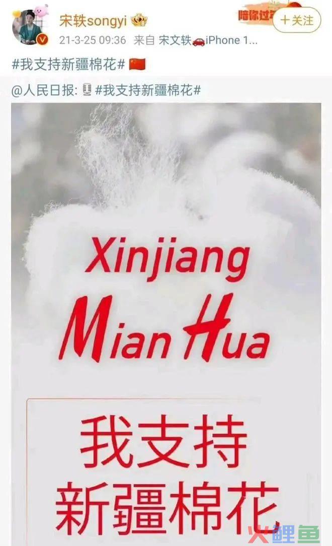 代言优衣库被骂惨，内娱“嫂子之光”塌了