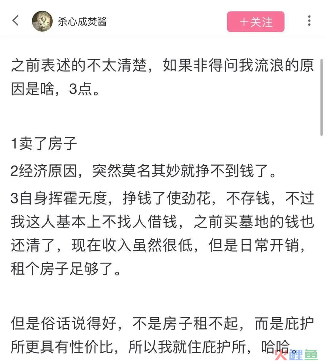 那个全网圈粉440万的“流浪汉”，成了这届网友心中的“东北游侠”