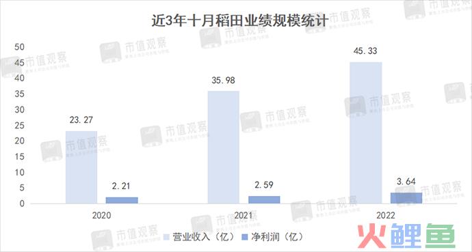 借钱也要分红，十月稻田隐忧浮现