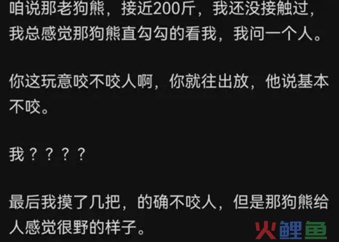 那个全网圈粉440万的“流浪汉”，成了这届网友心中的“东北游侠”