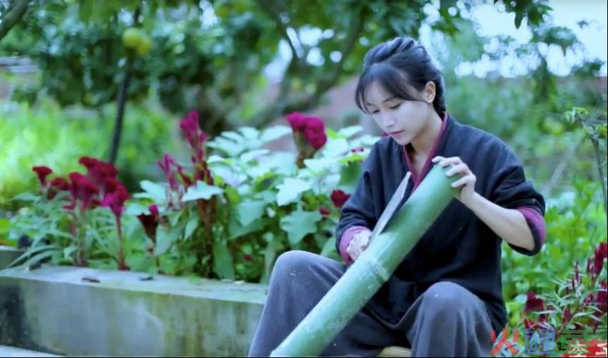 关于李子柒复出，我有两个问题