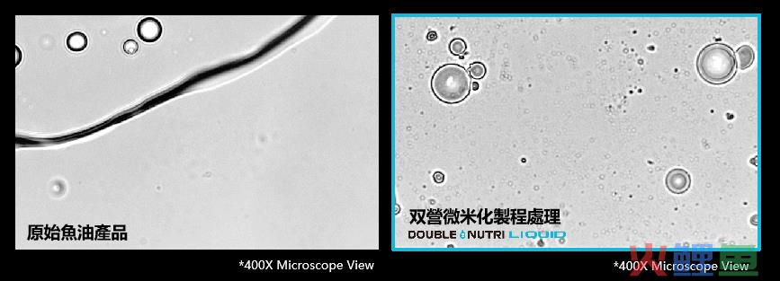 聚焦“脑黄金”DHA，从剂型到风味双重突破行业内卷