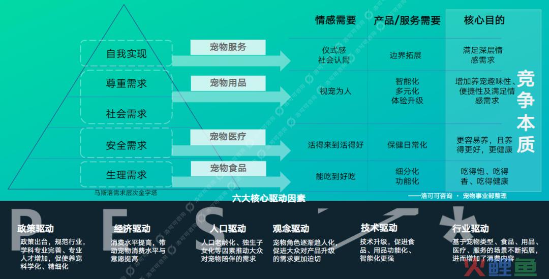 宠物行业还有空间吗？还有哪些潜力赛道？