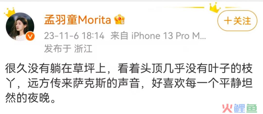 孟羽童，到底该不该“回应”董明珠呢？