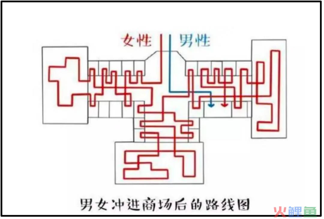 恭喜恭喜！男人的消费力首次超过了宠物狗