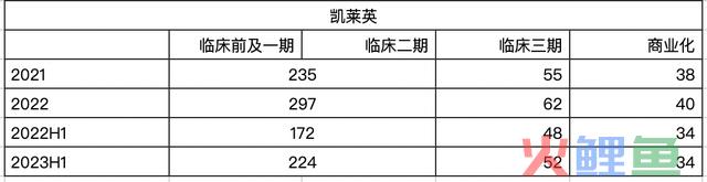 2024年确定性最高的巨头、减肥药最大赢家之一，有望成为下一个药明康德