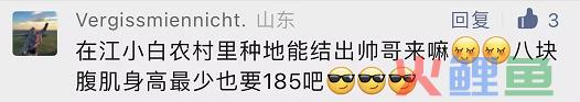 爆梗不断的评论区，品牌营销的新场域