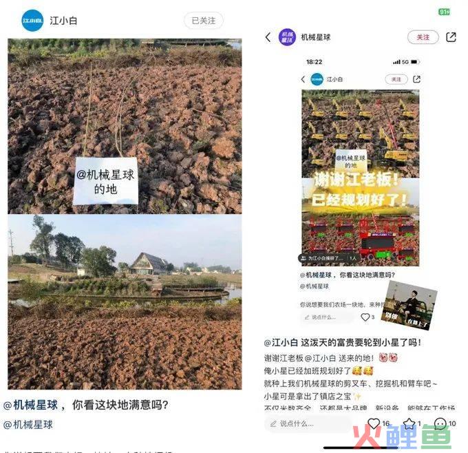 爆梗不断的评论区，品牌营销的新场域