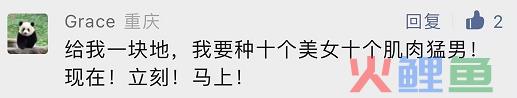爆梗不断的评论区，品牌营销的新场域