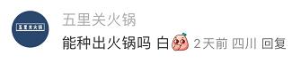 爆梗不断的评论区，品牌营销的新场域