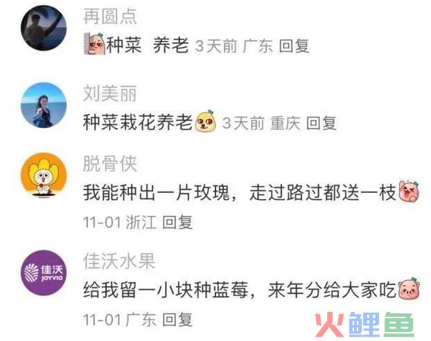 爆梗不断的评论区，品牌营销的新场域
