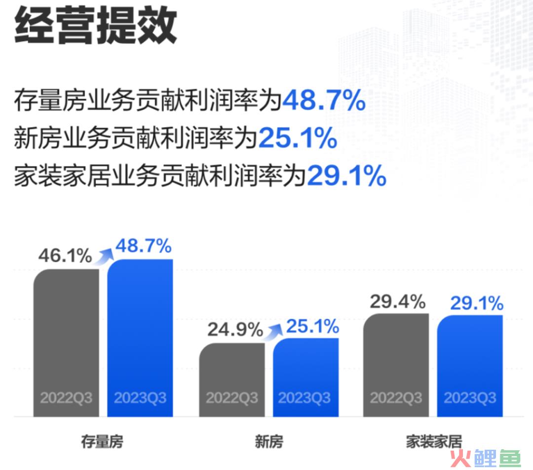 进化中的贝壳