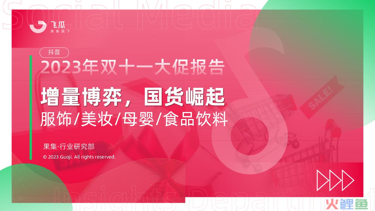 2023年抖音双十一电商数据报告