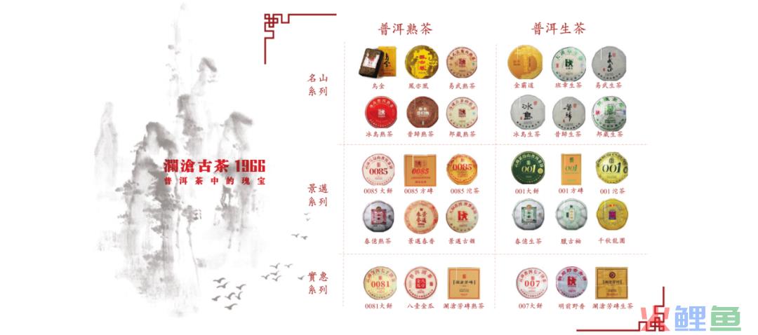 IPO解读丨高处不胜寒，澜沧古茶低头取暖？