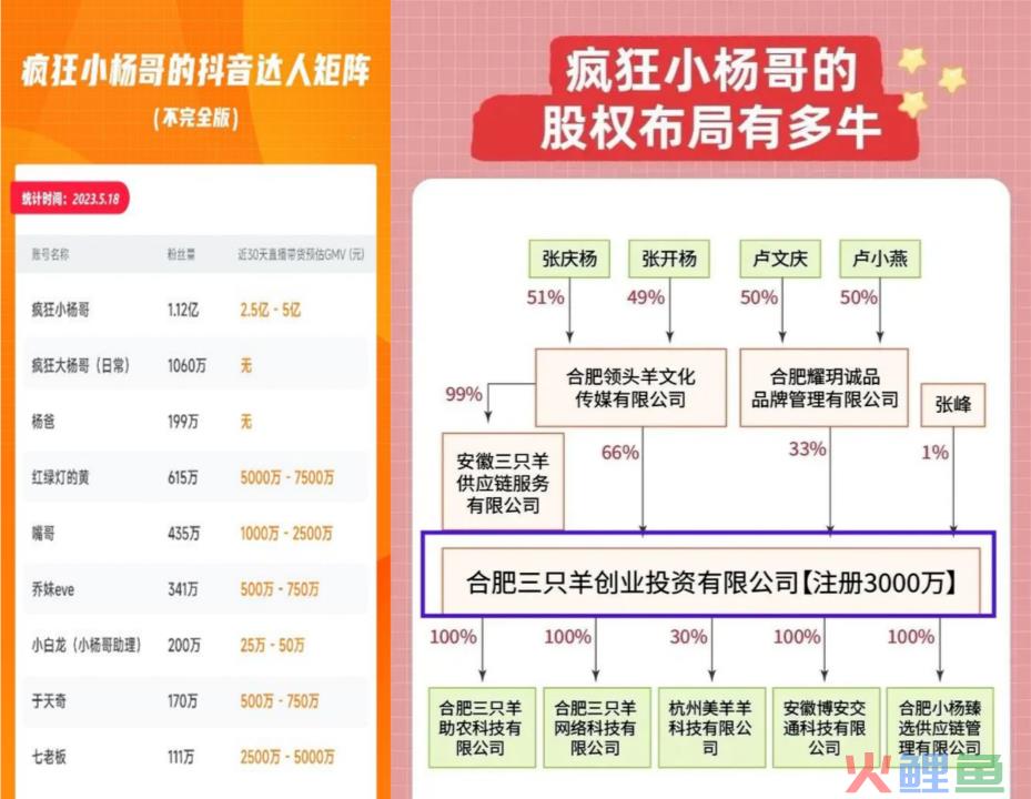 疯狂小杨哥之“最后的狂欢”