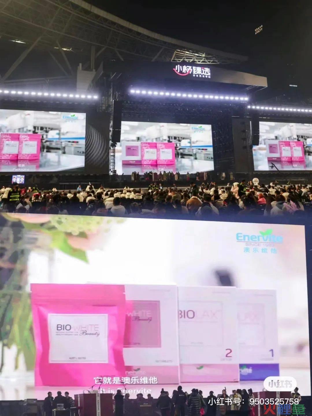 砸3000万开演唱会，门票只送不卖，小杨哥竟然几乎没亏？