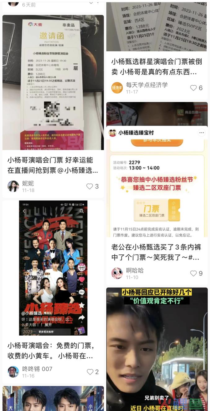 砸3000万开演唱会，门票只送不卖，小杨哥竟然几乎没亏？