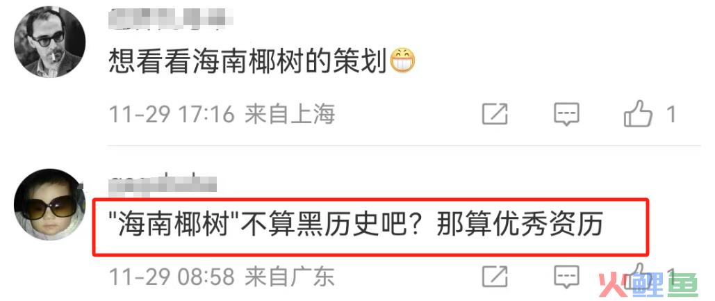 曝光椰树“黑料”，被这新晋网红笑不活了！