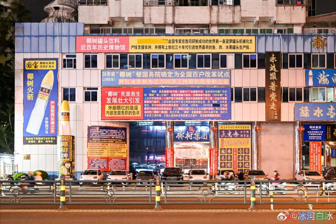 曝光椰树“黑料”，被这新晋网红笑不活了！