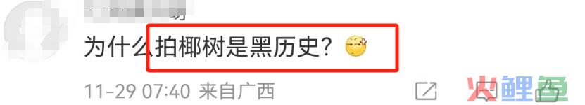 曝光椰树“黑料”，被这新晋网红笑不活了！