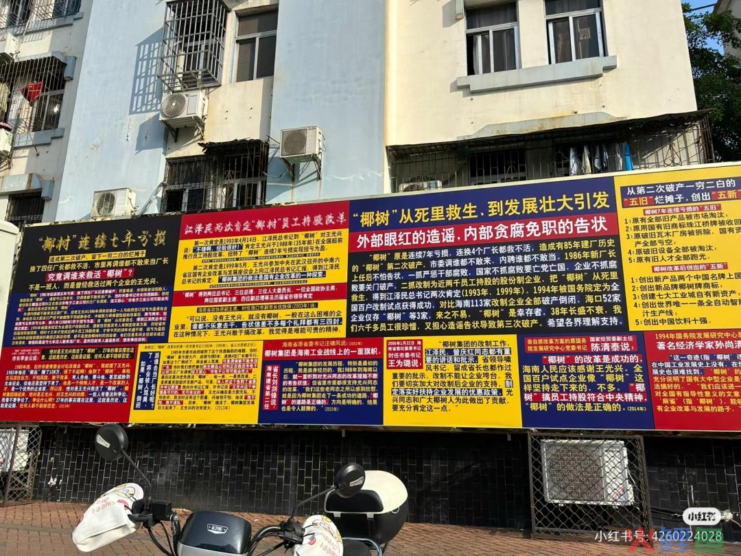 曝光椰树“黑料”，被这新晋网红笑不活了！