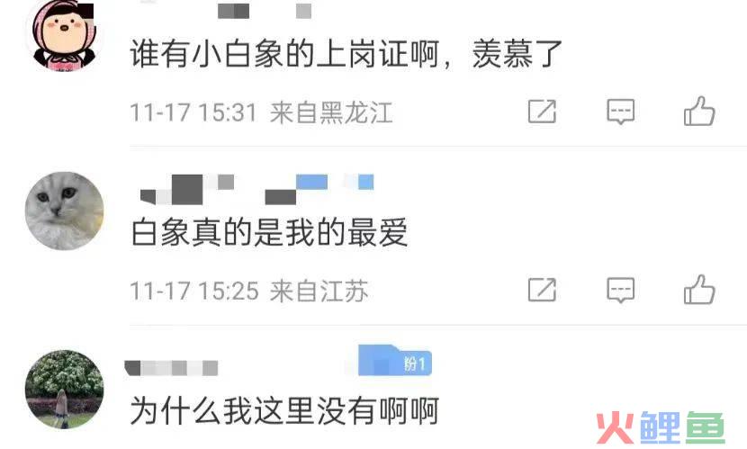 【白象泡面工厂】主题快闪店火了,连悲伤蛙都来排队上岗......