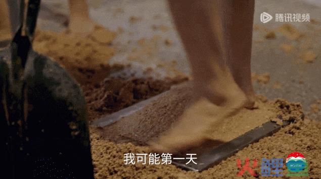 茅台“少女洗脚照”曝光被夸，康师傅蚌埠住了