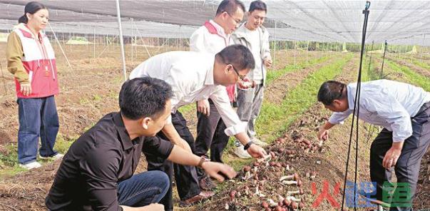 英德市青塘镇青北村：党建引领电商助力 探索高质量发展路