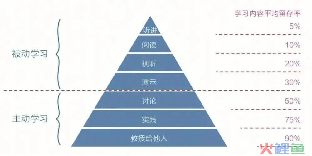 我从大量的学习方法书籍中，总结出的3个高效学习的底层法则