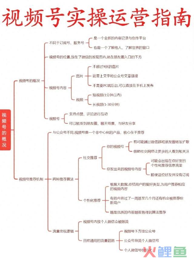 视频号实操运营指南 