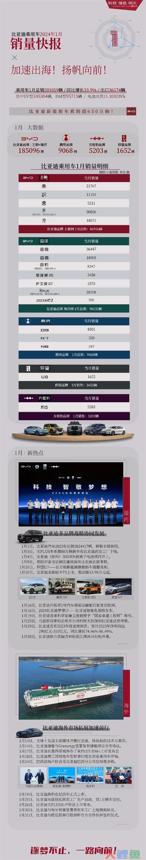 1月销量超20万台 比亚迪各车型数据出炉：海鸥成品牌