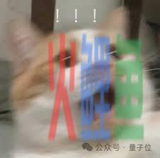 Deepfake假CFO骗走公司1.8个亿，员工：视频会议里每个人看起来都很真实啊