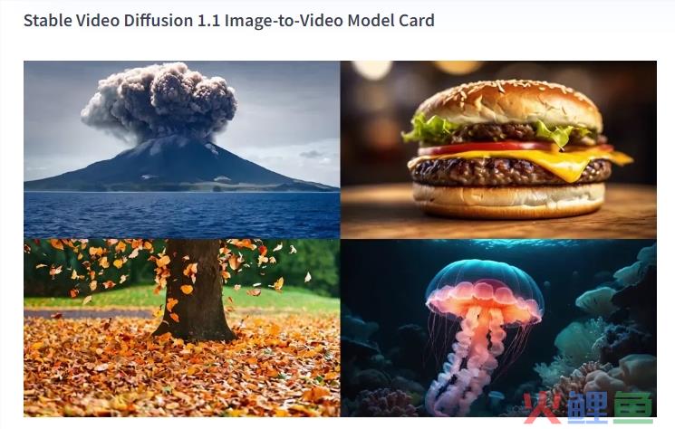 视频生成模型Stable Video Diffusion1.1发布 清晰度质量有所改进