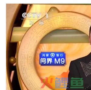 春晚广告植入统计：我们发现12个品牌，还有两个敬业的小姐姐