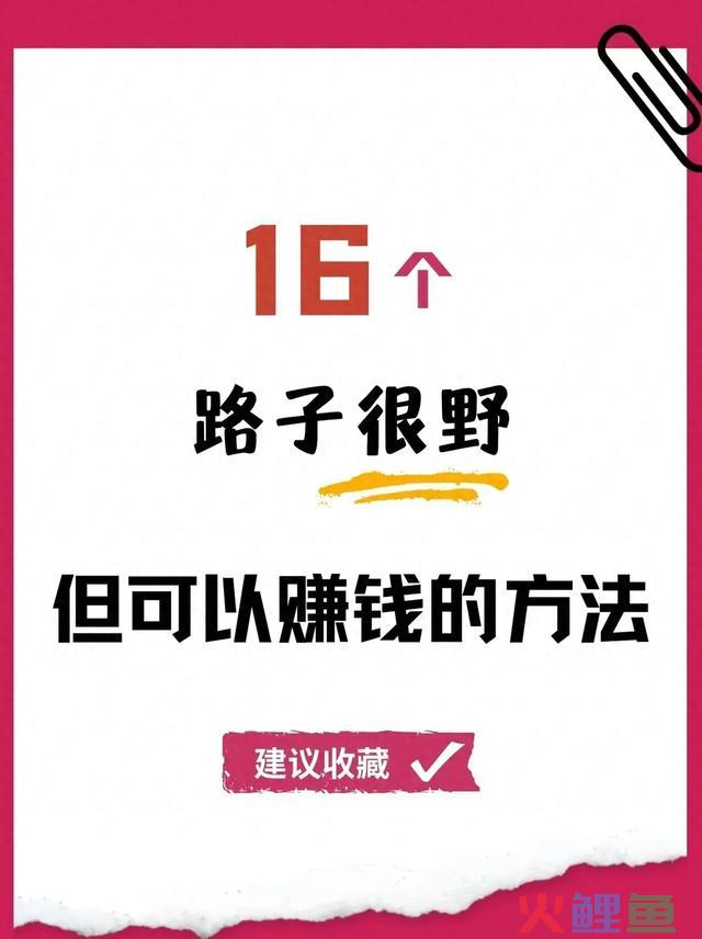 16个路子很野，但可以赚钱的方法 