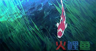 大佬告诉我的傻瓜式赚钱，新手看完也能每月多赚5000元 