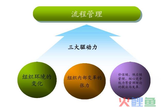 流程管理：洞悉流程误区，明确流程目标，掌握流程管理的方法