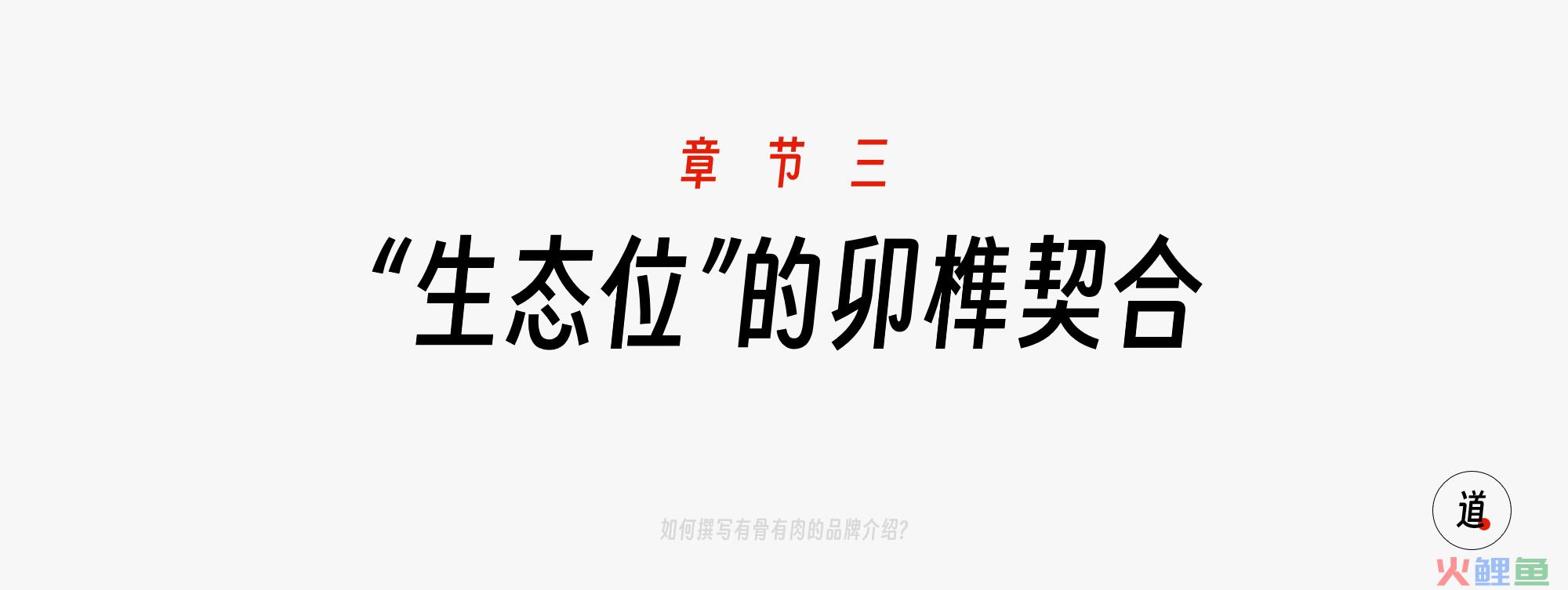 【生态位的榫卯结合】